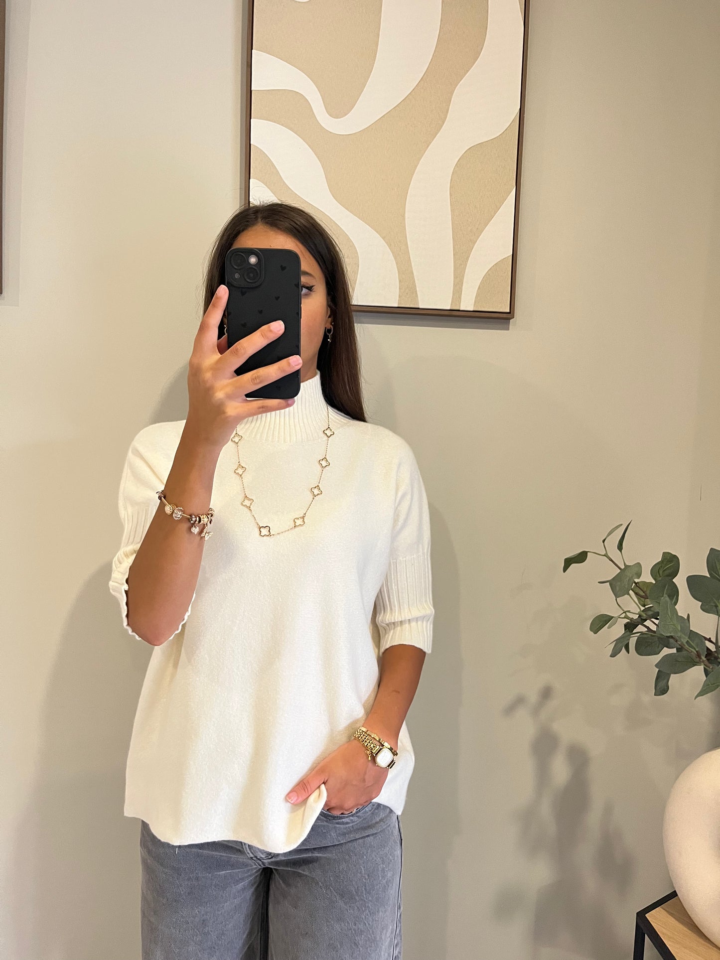 Pull Linéa marron